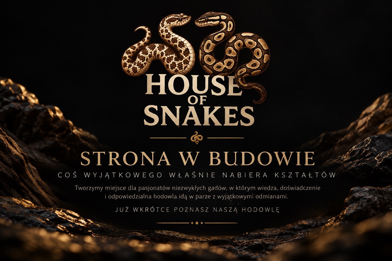 House of Snakes — Strona w budowie