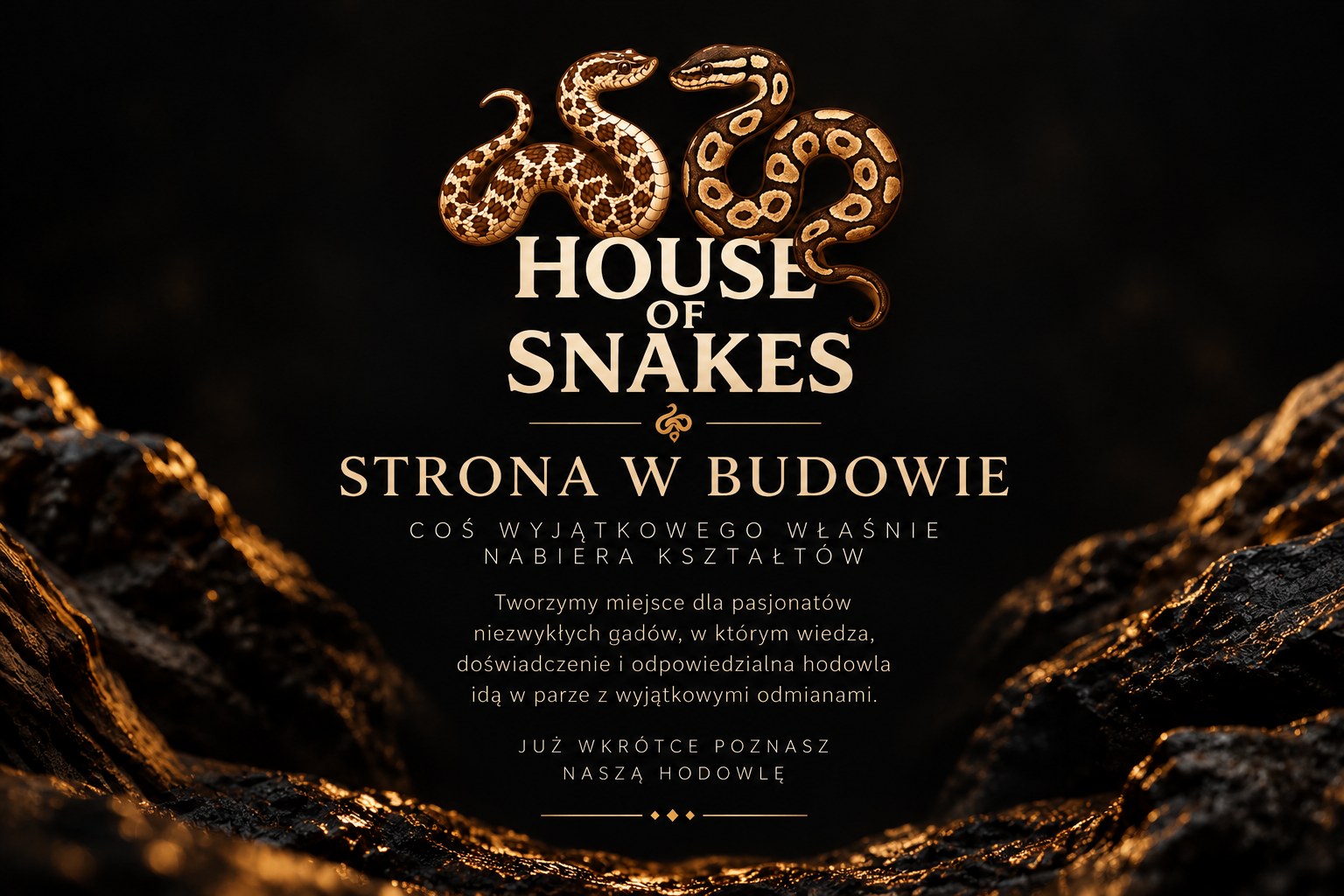 House of Snakes — Strona w budowie